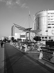 绥棱公司注册